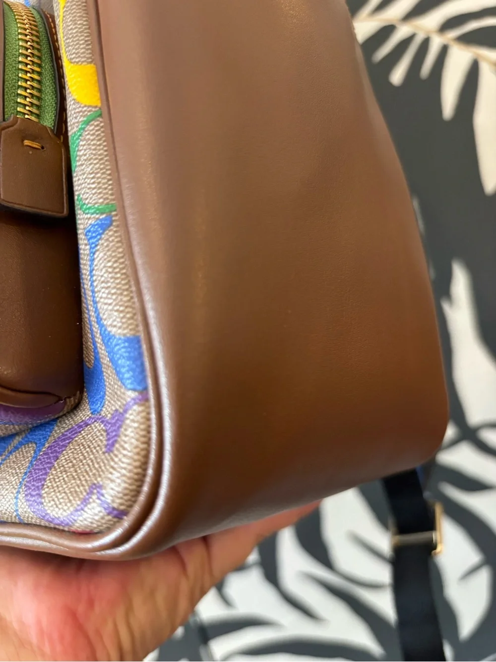 Coach limited edition Pride Backpack